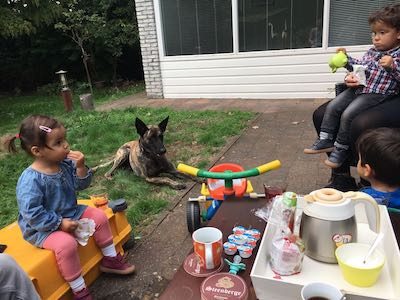 Honden en bezoek